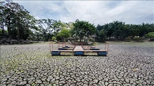 El Nino có biên độ dao động rộng hơn so với 1.000 năm trước