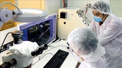 Chương trình phát triển thị trường khoa học và công nghệ quốc gia đến năm 2030
