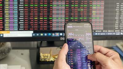 Danh mục cổ phiếu cần quan tâm ngày 28/10