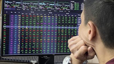 Danh mục cổ phiếu cần quan tâm ngày 7/1