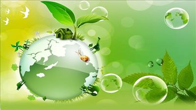 Kiểm toán môi trường ngày càng được ưu tiên