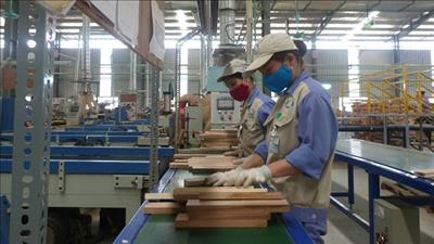 Tiếp tục thúc đẩy cải cách, cải thiện môi trường đầu tư, kinh doanh