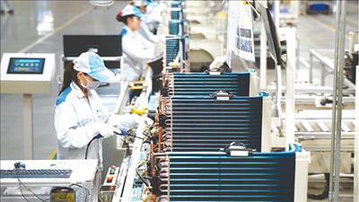 Kinh tế Việt Nam vẫn vững vàng trong bối cảnh nhu cầu toàn cầu suy yếu