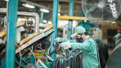 WB khuyến nghị Việt Nam xem xét gia hạn chương trình hỗ trợ kinh tế sang năm 2024