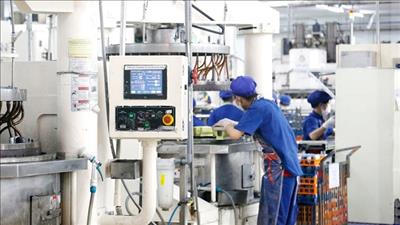 Việt Nam thuộc nhóm các nước có mức tăng trưởng cao nhất khu vực