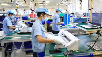 WB dự báo kinh tế Việt Nam năm 2025 tăng trưởng 6,8%
