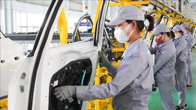 Ban hành quy chế hoạt động của Ban chỉ đạo quốc gia về phát triển kinh tế tư nhân