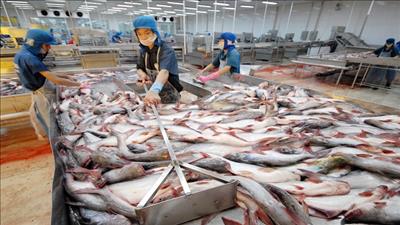 Năm 2020 phấn đấu GDP tăng khoảng 6,8%