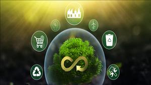 Thúc đẩy triển khai các mô hình phát triển kinh tế tuần hoàn và sản xuất, tiêu dùng bền vững