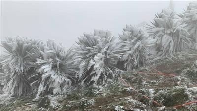 Miền Bắc chuẩn bị đón đợt không khí lạnh mới, trời chuyển mưa rét