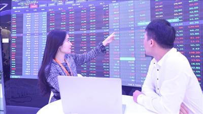 Danh mục cổ phiếu cần quan tâm ngày 19/11