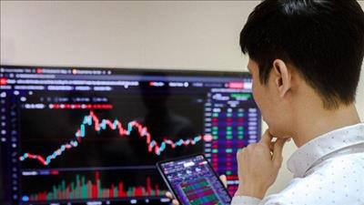 Danh mục cổ phiếu cần quan tâm ngày 20/1