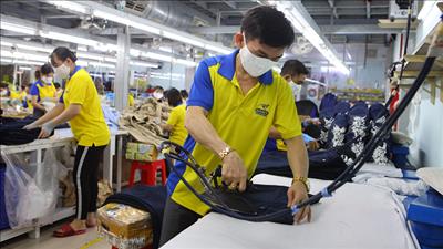 Tăng trưởng GDP quý III/2025 ước đạt 8,22%