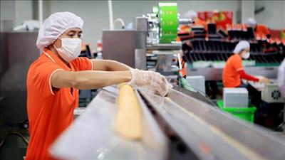 Ngân hàng UOB nâng dự báo tăng trưởng GDP năm 2025 của Việt Nam