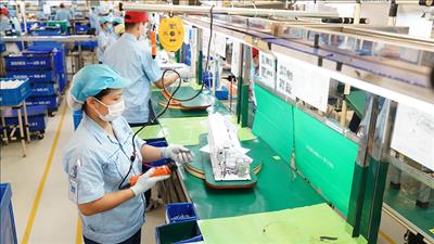 Đẩy nhanh tiến độ hoàn thành Tổng điều tra kinh tế năm 2026