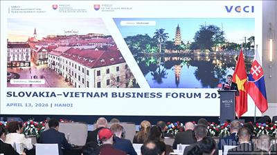 Tăng cường hợp tác doanh nghiệp Việt Nam - Slovakia, cụ thể hóa quan hệ Đối tác chiến lược vừa thiết lập