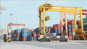 Logistics xanh mở đường cho chuỗi cung ứng mới