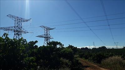 Đường dây 220kV Di Linh - Bảo Lộc mạch 2 được vinh danh công trình chất lượng cao
