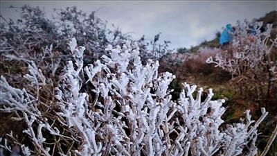 Bắc Bộ rét đậm, Trung Bộ có nơi mưa to, Nam Bộ ngày nắng