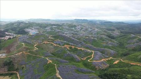 Trang trại lắp 2,23 triệu tấm pin mặt trời hoạt động tại Lào