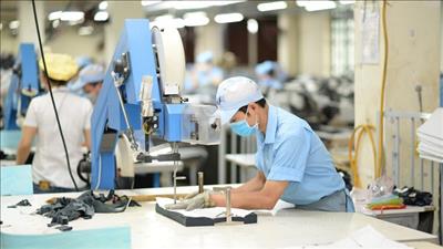 Bảo đảm việc làm, chăm lo đời sống và an sinh xã hội cho người lao động