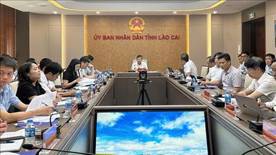 Tập trung nguồn lực, đẩy nhanh tiến độ các dự án truyền tải điện trọng điểm trên địa bàn Lào Cai