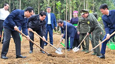 Chủ tịch nước Lương Cường: Tiếp tục đưa phong trào trồng cây đi vào chiều sâu, thực chất
