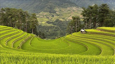 Thúc đẩy thực hiện Quy hoạch hệ thống du lịch tầm nhìn đến năm 2045