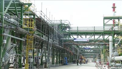 Đề nghị đưa công nghệ xanh, sạch vào dự án tổ hợp hóa dầu miền Nam