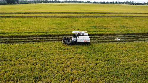 Xây dựng nhãn phát thải thấp đối với các sản phẩm trồng trọt chủ lực