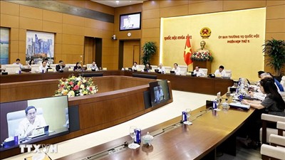 Luật Phát triển đô thị phải mở thêm không gian cho những cực tăng trưởng mới