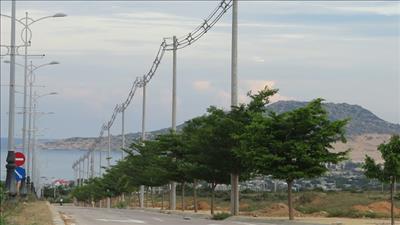 Rà soát tình hình triển khai dự án lưới điện phân phối miền Nam