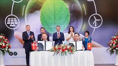 Hợp tác phát triển và xây dựng các dự án lưu trữ năng lượng nhiên liệu
