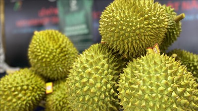 Đơn giản hóa thủ tục hành chính trong cấp, quản lý mã số vùng trồng