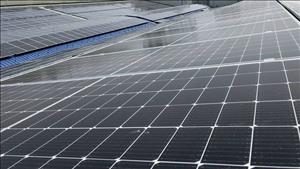 Hỗ trợ doanh nghiệp đổi mới công nghệ sạch phục vụ kinh tế tuần hoàn carbon thấp