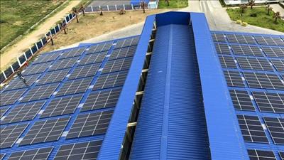 Doanh nghiệp Việt Nam – Scotland hợp tác phát triển năng lượng tái tạo