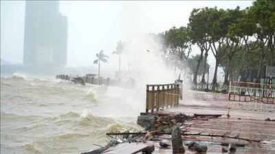 Bão số 12 gây mưa lớn tại khu vực từ Hà Tĩnh đến Quảng Ngãi