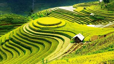 Ban hành Kế hoạch thẩm định hồ sơ Quy hoạch vùng trung du và miền núi phía Bắc