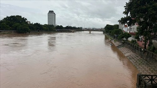 Khẩn trương triển khai công tác đảm bảo an toàn đê điều ứng phó lũ trên các sông