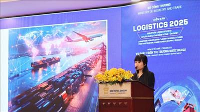 Giải pháp logistics cho chuỗi cung ứng bền vững