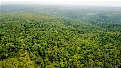 Nâng cao hiệu quả công tác bảo vệ môi trường, góp phần thúc đẩy chuyển đổi mô hình tăng trưởng