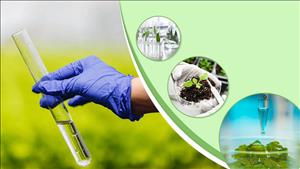 Thành lập Mạng lưới quan trắc và cảnh báo phóng xạ môi trường quốc gia