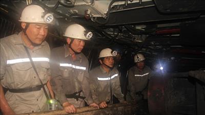 Than Mông Dương: Lò chợ CGH hạng nhẹ đồng bộ với hệ thống vận tải đạt công suất thiết kế