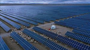 Bước ngoặt của điện mặt trời tại Trung Quốc