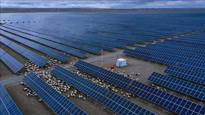 Bước ngoặt của điện mặt trời tại Trung Quốc