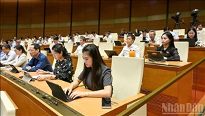 Sửa đổi Luật Bảo vệ môi trường: Tăng cường hậu kiểm, thúc đẩy chuyển đổi xanh