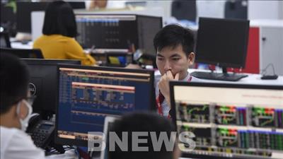 Danh mục cổ phiếu cần quan tâm ngày 5/11