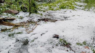 Ban chỉ đạo Phòng thủ dân sự quốc gia đề nghị các địa phương chủ động ứng phó với thiên tai