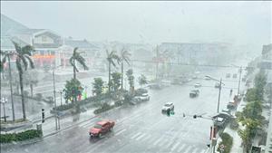Đẩy nhanh lộ trình triển khai xây dựng, hoàn thiện cơ sở dữ liệu quốc gia về đất đai