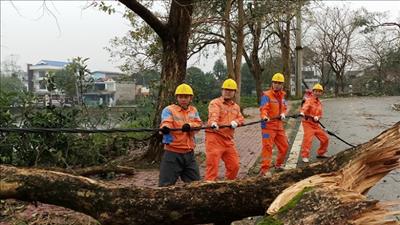 Chủ động ứng phó với thiên tai, đảm bảo cấp điện an toàn